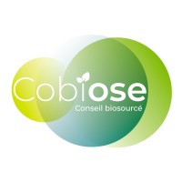 Cobiose conseil logo - Similar company to Datizy