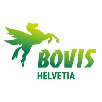 BOVIS HELVETIA logo - Similar company to Berkeley Crane Hire Ltd