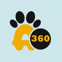 Animo360 logo - Similar company to Djilweb
