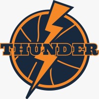 Nairobi City Thunder logo - Similar company to Dc Dynamics