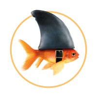 D'M&S logo - Similar company to Chacasa Bv