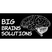 Big Brains Solutions