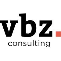VBZ consulting logo - Similar company to Igicom Llc