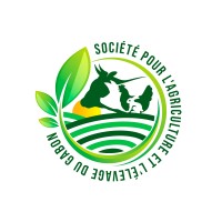 SAEG GABON logo - Similar company to Teamshape