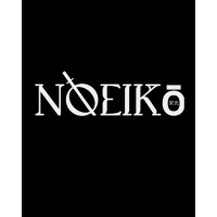 Noeiko logo - Similar company to Shree Water Tech