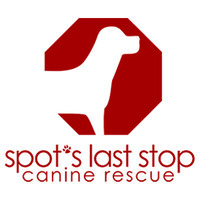 Spot'S Last Stop Canine Rescue