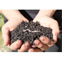 North Columbia Holdings