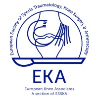 ESSKA EKA logo - Similar company to Esska-Esma