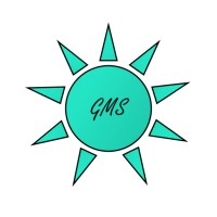 Global Medical Systems (GMS) logo - Similar company to Ecocivic Solutions Pvt Ltd