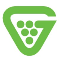 Grapevine MSP Technology Services logo - Similar company to Adaptive Networks