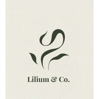 Lilium & Co. logo - Similar company to Dr. Mps Group Of Institutions