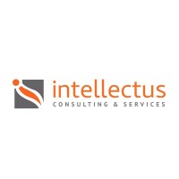Intellectus  Consulting & Services