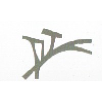 DIVINE TOUCH logo - Similar company to Natural Health 365 (Hong Kong) Limited