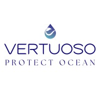 Vertuoso Solutions logo - Similar company to Zéro Wattheure