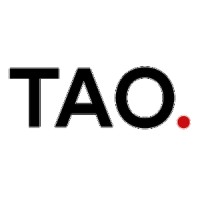 Turkish American Orchestra logo - Similar company to M&D Advisors