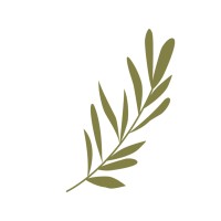 Olive Branch Mentorship Inc. logo - Similar company to Uad Multimedia