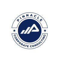 PINNACLE ITES LLP logo - Similar company to Project Garments Pvt Ltd