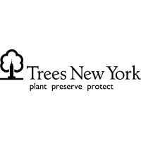 Trees New York logo - Similar company to More Than A Tree