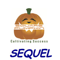 Square Sequel Consulting Pvt. Ltd logo - Similar company to Brandpull
