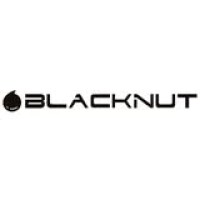Blacknut Agri Food Machinery Pvt. Ltd logo - Similar company to Nuttech - Professional Processing Machineries And Equipment For The Nut Industry