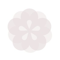 Litezen.cn logo - Similar company to Obrisk