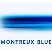 Montreux Blue Consultants logo - Similar company to Wasabi Business Intelligence
