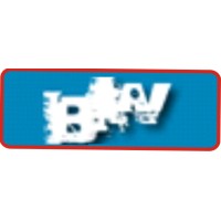 BW  Holdings logo - Similar company to Bv Global Limited