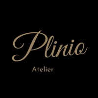 Plinio Atelier© logo - Similar company to Cap14