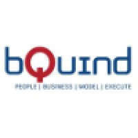 bQuind (Grip op processen, kracht in verandering) logo - Similar company to Wird Associates