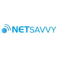Netsavvy logo - Similar company to Netsavvy