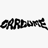 Cardume Records logo - Similar company to Shift.Lgbt+