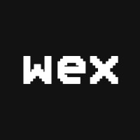 WEX SPORTS logo - Similar company to 12Th Media