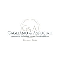Studio Gagliano & Associati logo - Similar company to Msc In Accounting Auditing & Control @Unifi