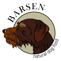 Barsen logo - Similar company to Beterra