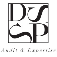 SARL DSP AUDIT & EXPERTISE logo - Similar company to Cadec