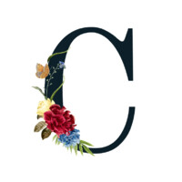 CGOVE Events logo - Similar company to Veleo Tent& Event Sl