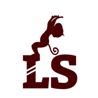 LeoStunt logo - Similar company to Leoclimb