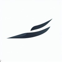 Fast Carbon logo - Similar company to Automated Manufacture Of Advanced Composites (Amac)