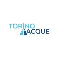 Torino Acque Srl - Gruppo Termoacqua logo - Similar company to Idrotecno Srl - Gruppo Termoacqua