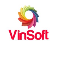 Vinsoft Solution logo - Similar company to Vinsoft