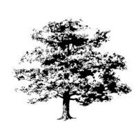 OAK CONSULTING LIMITED logo - Similar company to Trotort.Com