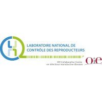 LNCR logo - Similar company to Valomolia