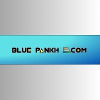 BLUE PANKH ECOM PRIVATE LIMITED logo - Similar company to Modentrée