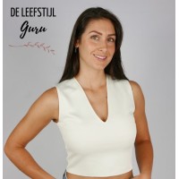 De Leefstijl Guru logo - Similar company to Ejp Belastingadviseurs & Accountants