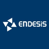 Endesis Endüstriyel Elektrik Ltd. Sti. logo - Similar company to Paprico