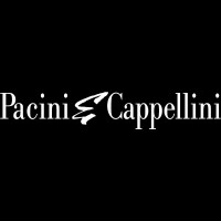 PACINI e CAPPELLINI SRL logo - Similar company to Esg-View