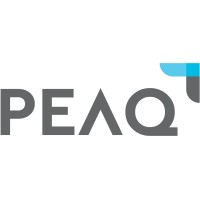 PeaQ Advisors Ltd logo - Similar company to Finclusion