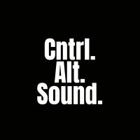 Cntrl.Alt.Sound. logo - Similar company to Velvo Solutions