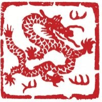Fire Dragon Enterprises logo - Similar company to Wizest