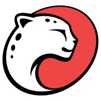 Playtika logo - Similar company to N